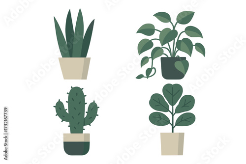 Aesthetic collection of diverse potted houseplants featuring green foliage and various plant types for modern home decor