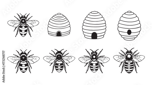 Set of detailed honey bees and beehive designs for your projects vector