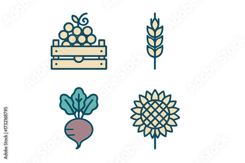 Selection of farm fresh produce: grapes in a wooden crate, a stalk of wheat, a beet, and a sunflower