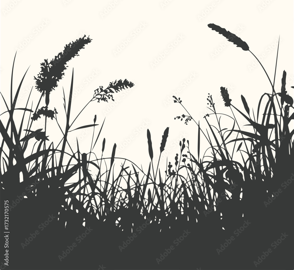 Obraz premium Vector art of silhouette of tall wild grass and seed heads against a light background, evoking a sense of nature and the outdoors