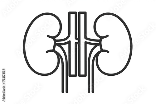 Kidneys icon in a linear style. Human internal organ symbol for urology or nephrology. Medical anatomy concept. Vector illustration for clinic, hospital logo. Isolated outline.