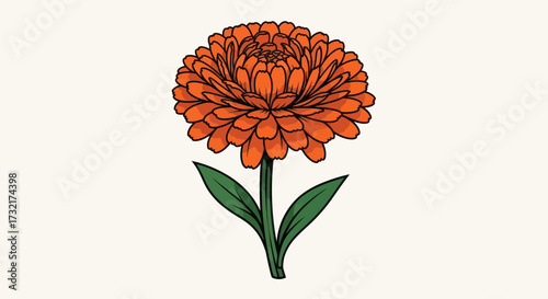 Orange flower