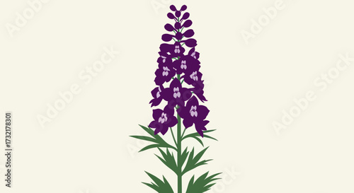Purple delphinium flower illustration