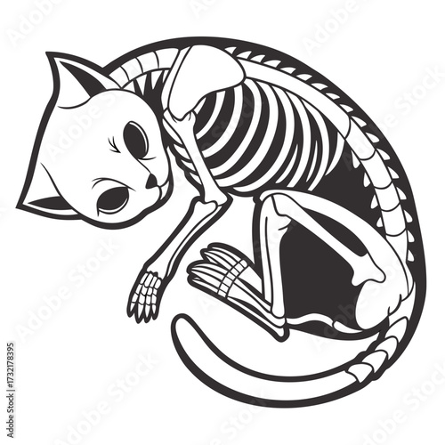 A curled up cat skeleton for halloween design