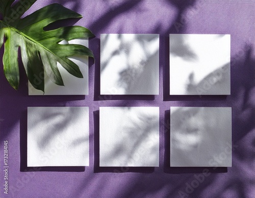 natural light casts shadows from the tropical plant on 6 square sheets of white textured paper lying on a violet textured background mockup