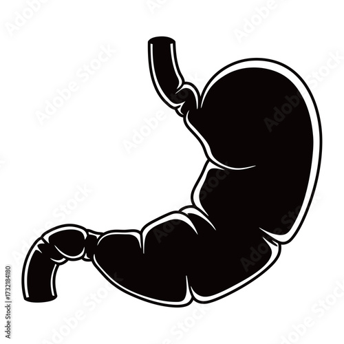 black and white silhouette of a Stomach vector on a white background