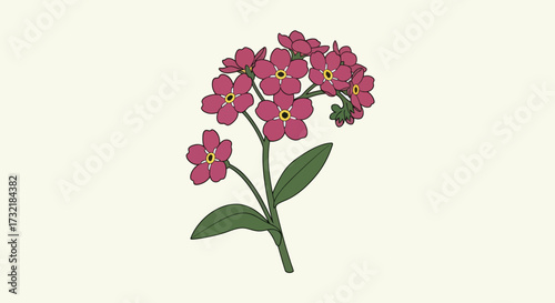 Crimson forget-me-nots