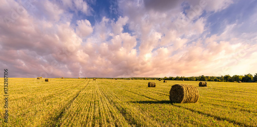Haystack bale on a golden field landscape at sunset. Rural agricultural scene with bales of hay. Countryside harvest concept.