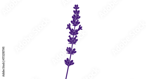 A single, purple lavender sprig silhouette on a white background