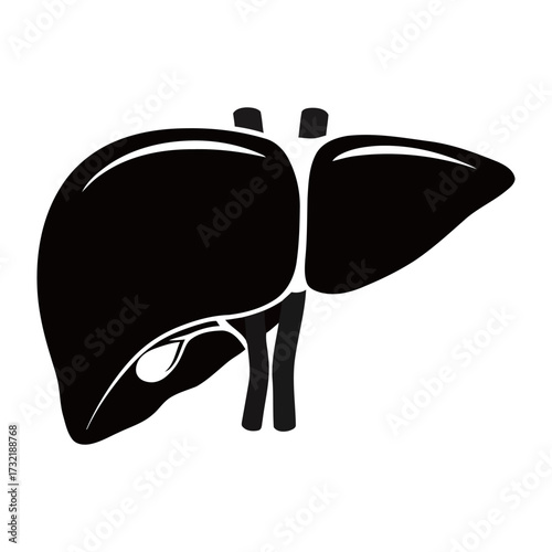 black and white silhouette of a liver vector on a white background