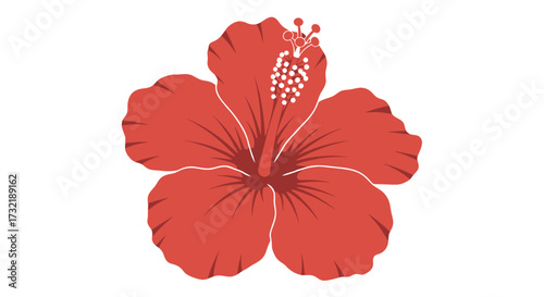 Simple stylized illustration of a red hibiscus flower on white