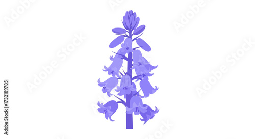 Stylized bluebell flower illustration on a white background