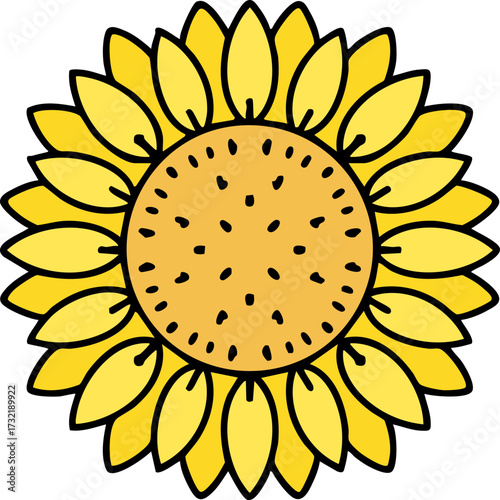 brazilian culturally iconic traditional sunflower