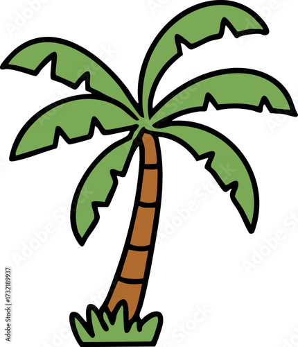 a brazilan beach palm tree