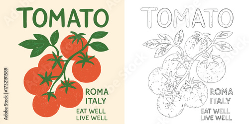 Tomato Roma Italy vector T shirt design with fresh vegetable retro organic healthy food illustration