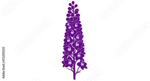 Purple flower stalk with blooming light-colored buds