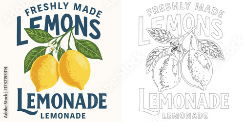 Lemonade vector illustration T shirt design with lemon fruit typography refreshing summer style isolated on white background