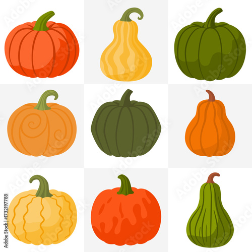 Colorful autumn pumpkins, gourds, and squash of various shapes and sizes, perfect for Halloween, Thanksgiving, and fall harvest festival designs