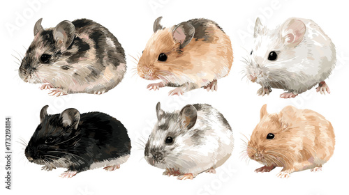 Vector illustration of a set of 6 different mice isolated on a white background