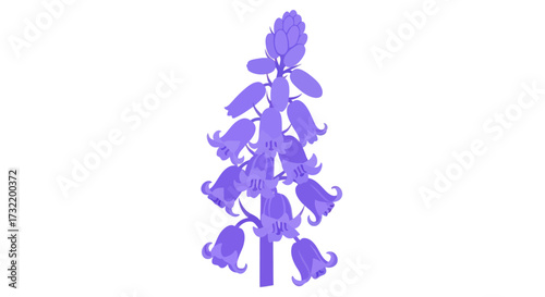 Purple hyacinth flower spike, simple style