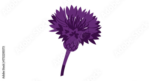Stylized purple cornflower (1)