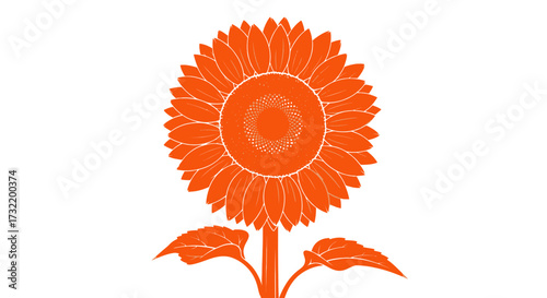 Orange sunflower illustration on white. Shows flower, stem, and leaves in silhouette with some internal detail