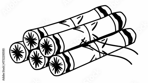 firecrackers bundle minimalist isolated line art