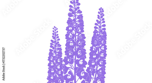 Trio of violet delphiniums on white