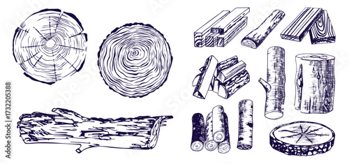 Wood rings. Round tree trunk cut with growth lines, wooden circle log with natural textured surface, carpentry material flat style. Vector isolated set