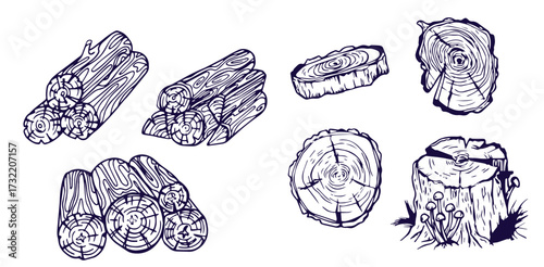 Wood rings. Round tree trunk cut with growth lines, wooden circle log with natural textured surface, carpentry material flat style. Vector isolated set
