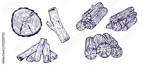 Wood rings. Round tree trunk cut with growth lines, wooden circle log with natural textured surface, carpentry material flat style. Vector isolated set
