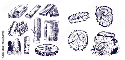 Wood rings. Round tree trunk cut with growth lines, wooden circle log with natural textured surface, carpentry material flat style. Vector isolated set