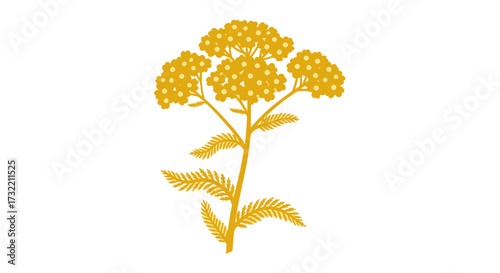 Gold monochrome drawing of a yarrow plant, stem and flowers