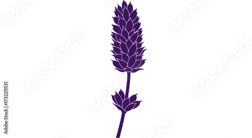 Purple lavender silhouette