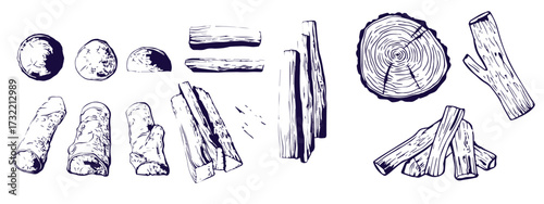 Wood rings. Round tree trunk cut with growth lines, wooden circle log with natural textured surface, carpentry material flat style. Vector isolated set