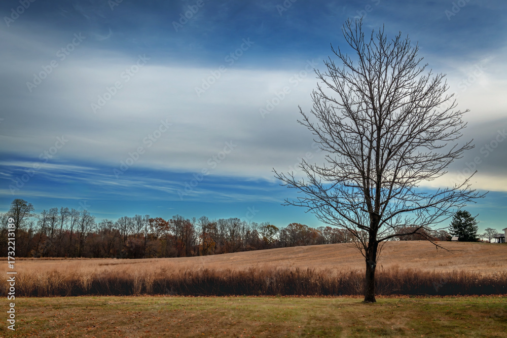 Fototapeta premium End of Fall