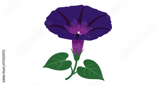 Stylized purple morning glory with green leaves
