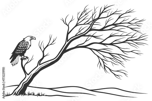 Hiker Walking Past Bare Tree and Pine Trees - Monochrome Vector Illustration
