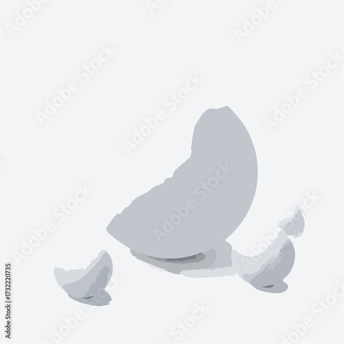 Gray broken eggshell pieces scattered on a plain white background.