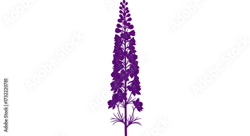 Purple flower spike illustration on white, with delicate, outlined blooms