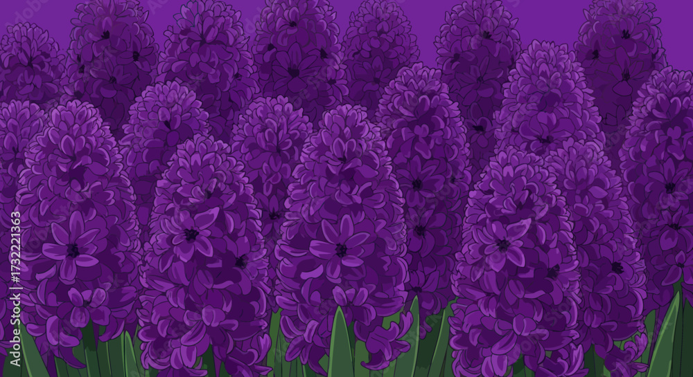Naklejka premium Purple hyacinth field