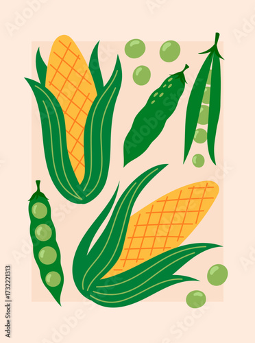 Vegetables poster for supermarket, kitchen, restaurant. Banner with corn and peas. Culinary ingredients, organic food products, agricultural harvest. Hand drawn flat vector illustration