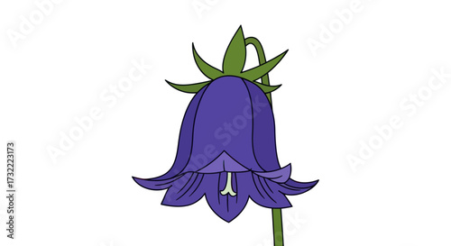 Cartoon illustration of a purple bellflower with green stem and leaves