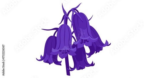 Purple bluebell flowers