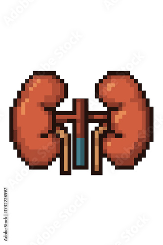 Human kidneys pixel art icon. Internal organ anatomy in retro 8-bit game style. Urology, nephrology medical vector illustration. Healthcare, body part symbol for design.