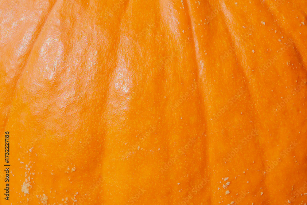 custom made wallpaper toronto digitalnatural autumnal backdrop: close up of bright orange pumpkin skin texture