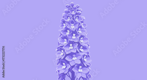 Lilac flower stalk