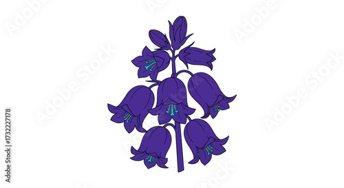 Stylized dark blue bellflower