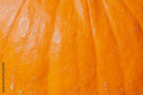 natural autumnal backdrop: close up of bright orange pumpkin skin texture