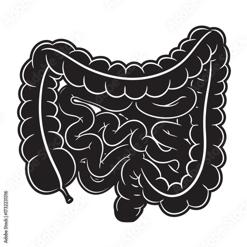 black and white silhouette of the intestines vector on a white background